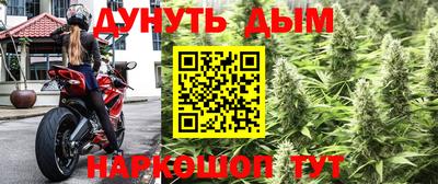 гидропоника Лесосибирск